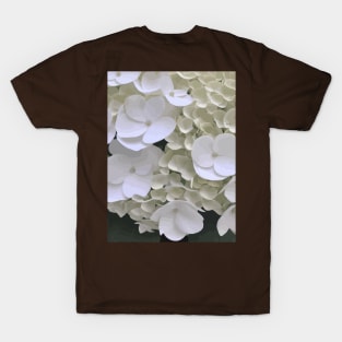 White Hydrangea Blossoming Flowers T-Shirt